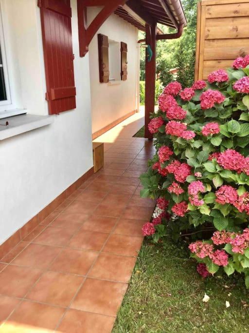 1Km Plage, Agreable Maison 6 Pers Classee 3* アンダイエ エクステリア 写真
